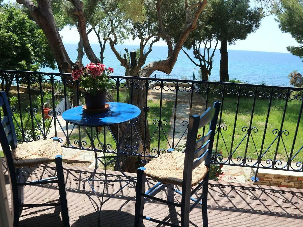 Seafront Studio Akti Elia Apartment