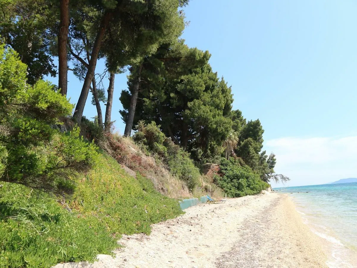 Seafront Studio Akti Elia Apartment  Elia Nikitis