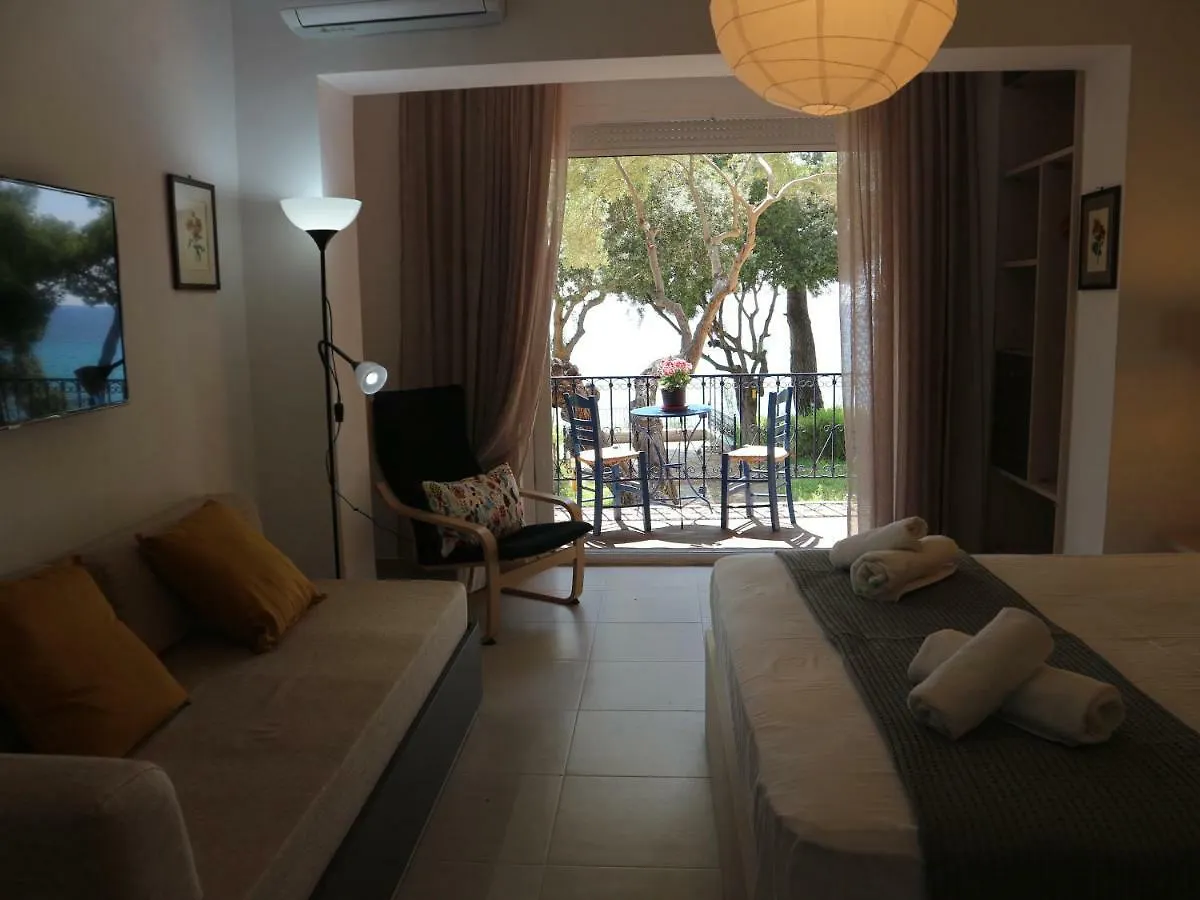 Seafront Studio Akti Elia Apartment