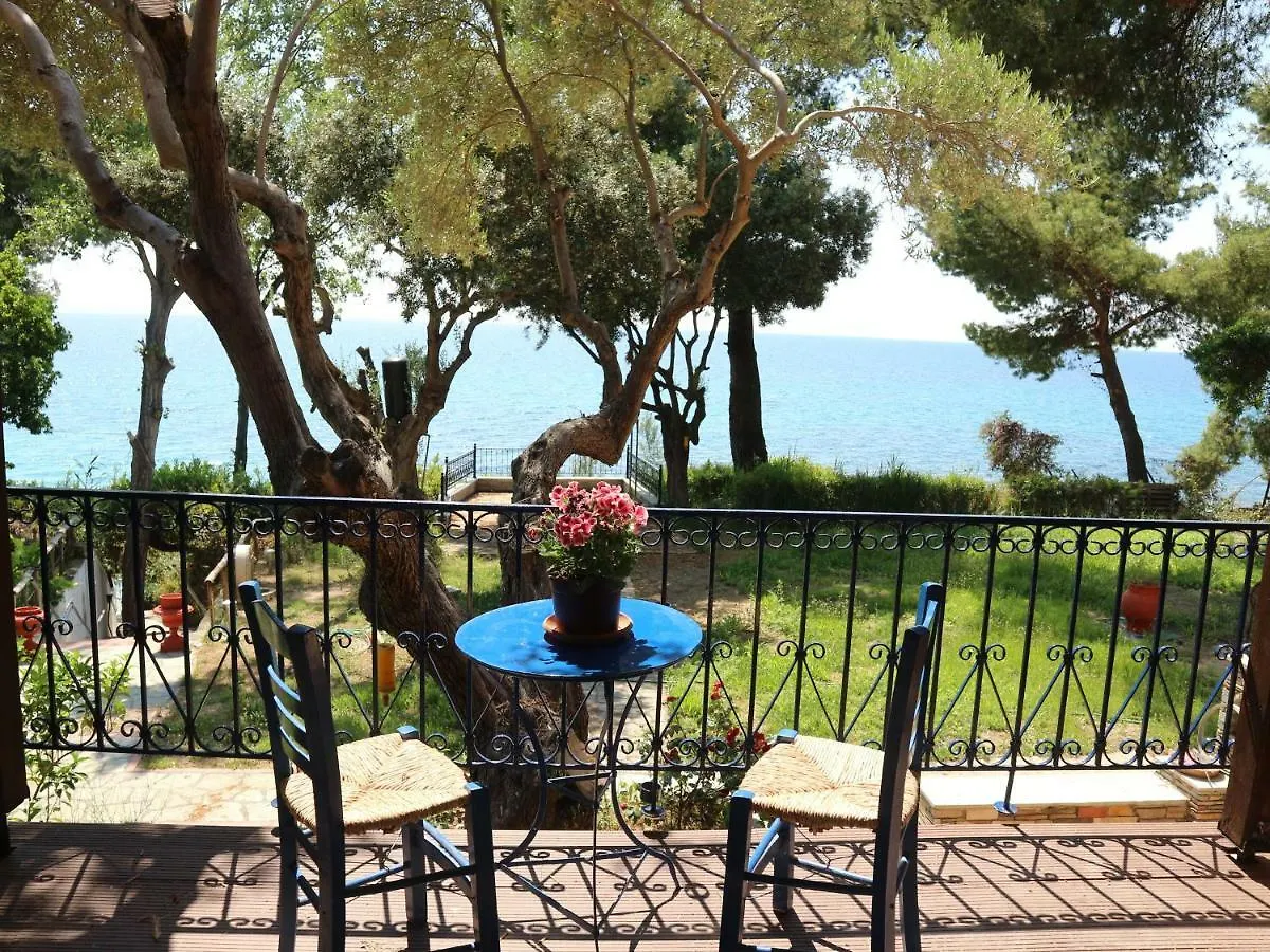 Seafront Studio Akti Elia Apartment Elia Nikitis